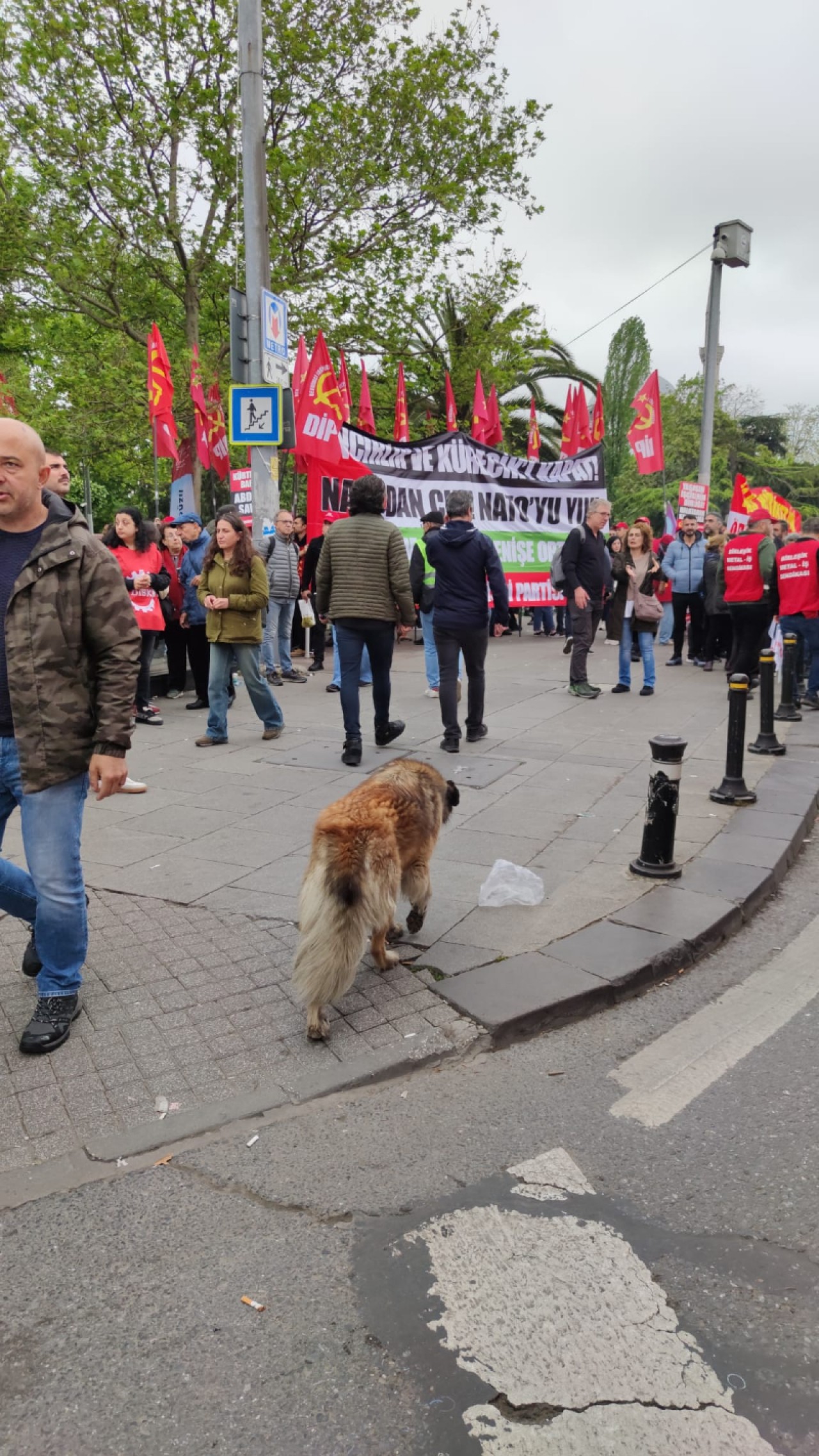 Mustafa Tiğrek'in objektifinden 1 Mayıs görüntüleri 5